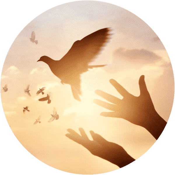 mains libérant un oiseau dans le ciel